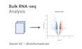 analyze your bulk rna seq data and deliver clear, publication ready results