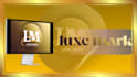 professional logo and visual identity design