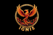 make wonderful and excellent phoenix logo design