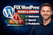 fix wordpress issues, remove malware, and improve website speed and performance
