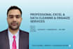 data entry,clean excel spreadsheet, excel data cleaning,data cleanup