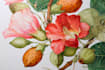 illustrate awesome botanical illustration