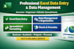 do professional excel data entry, data management  and spreadsheet formatting