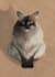illustrate your pet in a unique painterly style