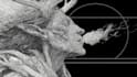draw amazing line art