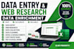 do accurate data entry, web research and excel data cleanup
