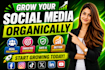 fast increase social media followers for facebook, instagram, youtube, twitter