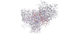 do molecular docking using autodock vina pyrx