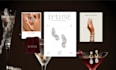 design a premium brand identity, logo and branding kit