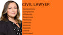 craft litigation lawsuits and complaints