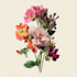 make stunning botanical plants illustration
