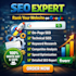 do full SEO audit, on page and technical errors