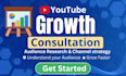 provide youtube growth consultation and video optimization