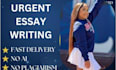 do urgent essay writing as an essay writer