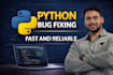 python bug fixing and debugging service