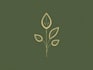 design elegant botanical logo with timeless nature