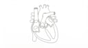 design minimal line vector illustrations