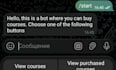 create telegram bot with payment system using pythonte