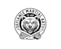 create attractive and imagination bear logo design