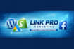 create or improve a professional wordpress website