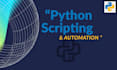 help with python programming and assignments