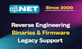 advanced reverse engineering, firmware analysis, and legacy support