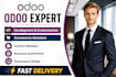 do odoo development, customization, website and ecommerce setup