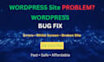 fix wordpress bugs , white screen and critical issues fast