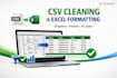 clean and format CSV files and excel spreadsheets