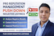 pro reputation management, push down negative listings