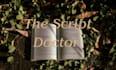 provide professional script coverage and character psychology analysis