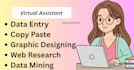 data entry and web research