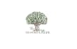 design looking olive oil company logo