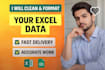 organize, clean, and format excel spreadsheets