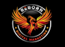 create high quality and beautiful phoenix logo design