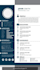 design a professional ats friendly CV resume