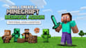 create high quality minecraft bedrock addon for your desired minecraft server