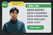 do data entry, data cleanup