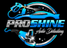 make unique detailing, car wash detailing logo