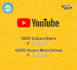 provide youtube non drop subscribers