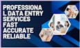 professional dataentry onlinewriting webresearch