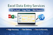 do accurate excel data entry, pdf to excel, data scrubbing, copy paste