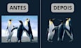 eu consigo editar qualquer imagem para voce