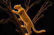 create stunning 3d hologram animals creatures character with premium animation