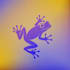 design fun and new things