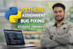 python assignment and project bug fixing service