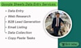 do professional data entry, web research and b2b lead generation