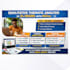 do nvivo thematic analysis in 24 hours