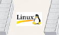 manage cpanel, AWS, digitalocean, and linux server issues