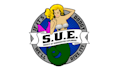 design classic underwater pool swimming pool logo